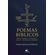 POEMAS-BIBLICOS--Biblia-Sagrada-Tecnologia-Musica-e-Influencias-Literarias