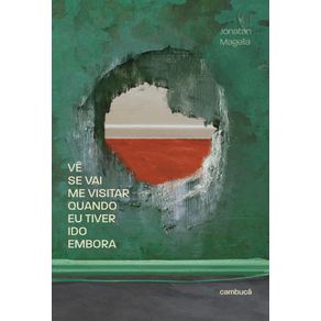 Ve-se-vai-me-visitar-quando-eu-tiver-ido-embora