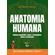 Anatomia-humana:-Sistema-esqueletico:-ossos-e-articulacoes,-juntos-e-misturados