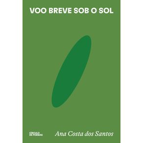 Voo-breve-sob-o-sol--0108-