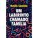 Um-labirinto-chamado-familia--3007-