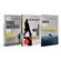Kit-Engenheiros-do-Caos--3107-