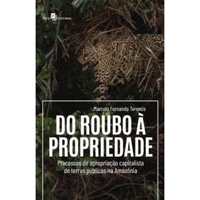 Do-roubo-a-propriedade