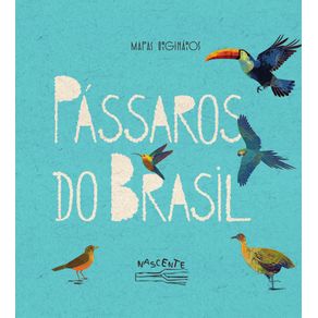 Passaros-do-Brasil