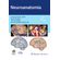 Neuroanatomia