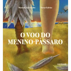 O-voo-do-menino-passaro