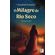 O-Milagre-do-Rio-Seco
