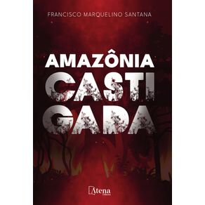 Amazonia-castigada