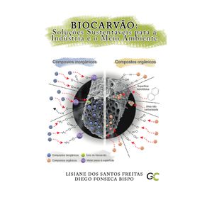 Biocarvao--Solucoes-Sustentaveis-para-a-Industria-e-o-Meio-Ambiente