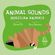 Animal-Sounds-–-Brazilian-Animals