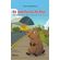 As-aventuras-de-Ravi:-uma-jornada-de-amizade-no-caminho-de-volta-para-casa
