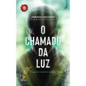 O-chamado-da-luz--O-que-leva-o-espirito-a-redencao