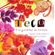 Teco-e-os-guardioes-da-floresta