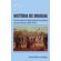 Historia-do-Uruguai--Da-formacao-do-Estado-Oriental-ao-advento-do-pais-moderno--1810-1904-