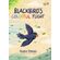 Blackbird‘s-Colorful-Flight