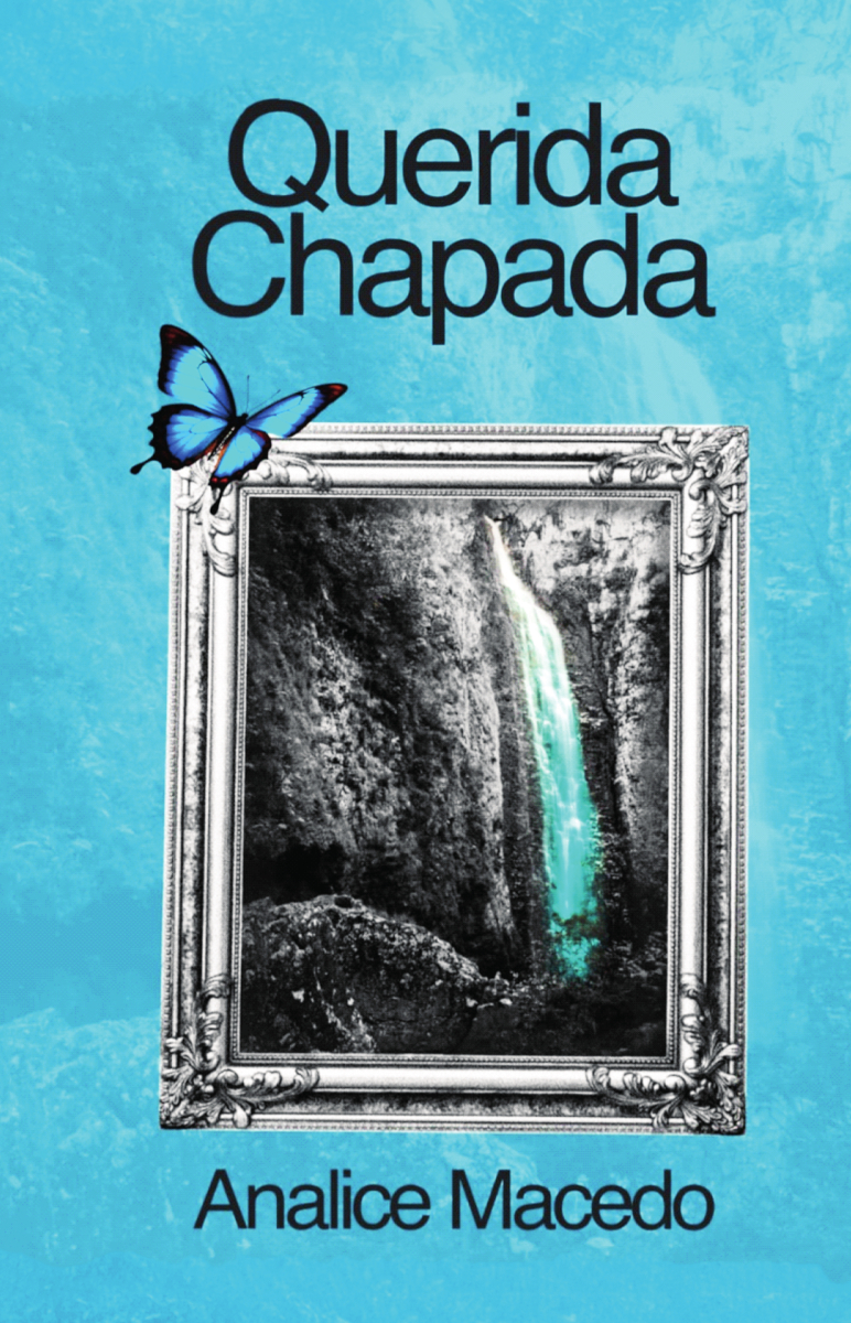 Capa do livro Querida Chapada