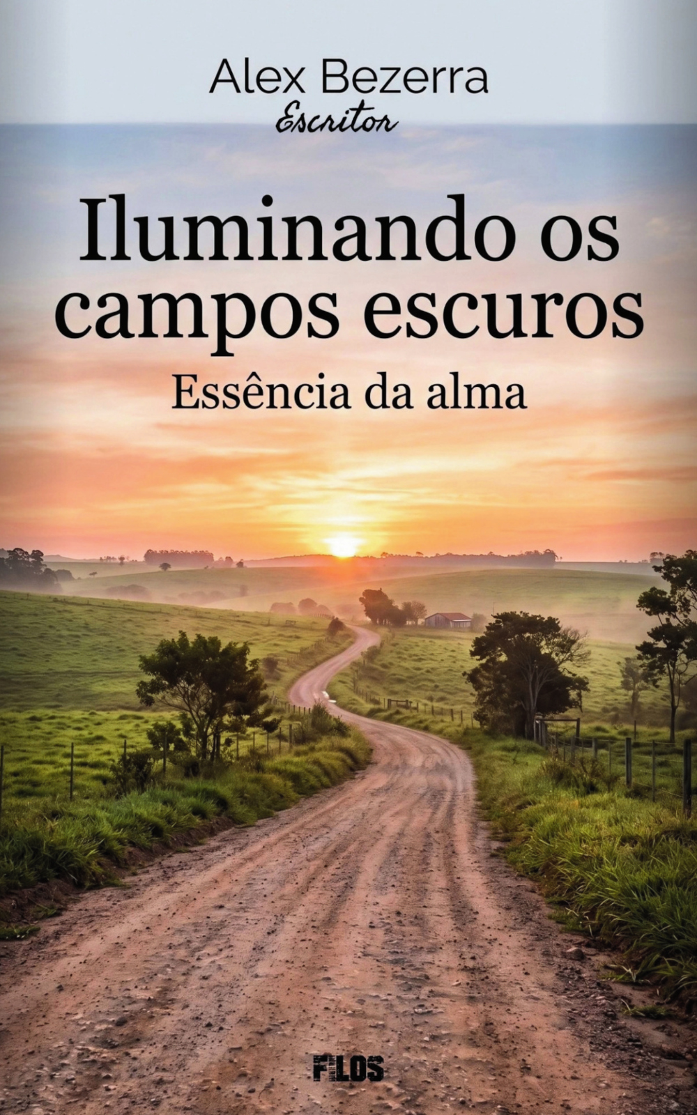 Capa do livro Iluminando os campos escuros: Essência da alma