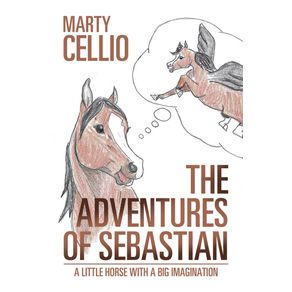 The-Adventures-of-Sebastian