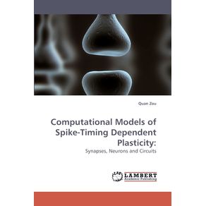 Computational-Models-of-Spike-Timing-Dependent-Plasticity