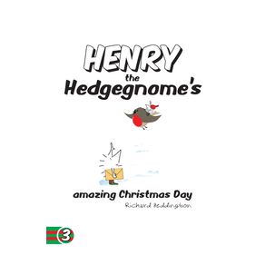 Henry-the-Hedgegnomes-amazing-Christmas-Day