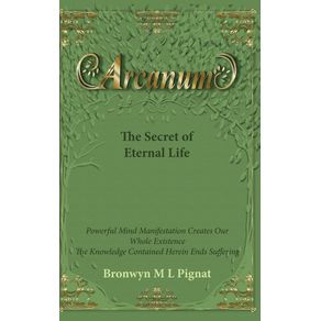 Arcanum-The-Secret-of-Eternal-Life