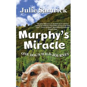 Murphys-Miracle