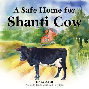 A-Safe-Home-for-Shanti-Cow