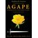 AGAPE---Part-B