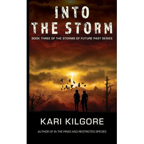 Into-the-Storm