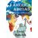 America-Abroad