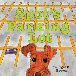 Spots-Parking-Lot