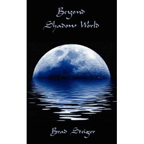 Beyond-Shadow-World