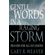 Gentle-Words-in-a-Raging-Storm