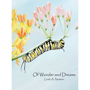 Of-Wonder-and-Dreams