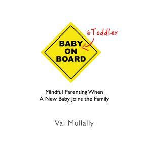 Baby-and-Toddler-on-Board