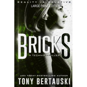 Bricks--Large-Print-Edition-