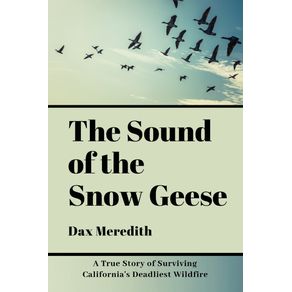 The-Sound-of-the-Snow-Geese