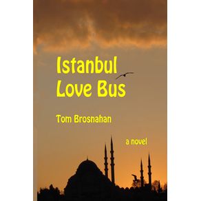 Istanbul-Love-Bus