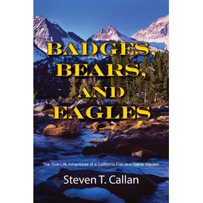 Badges-Bears-and-Eagles