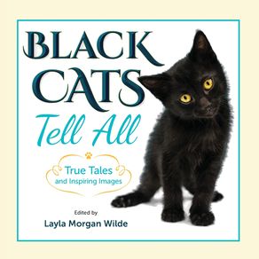 Black-Cats-Tell-All