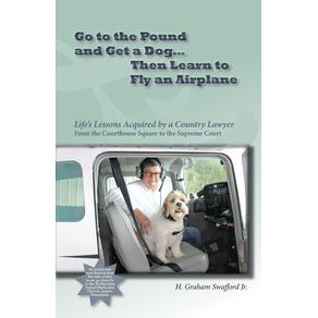 Go-to-the-Pound-and-Get-a-Dog-Then-Learn-to-Fly-an-Airplane