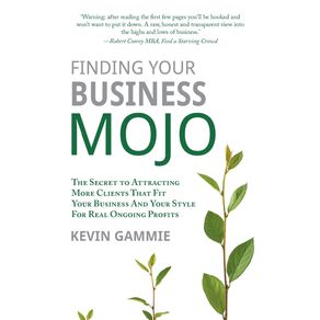 Finding-Your-Business-Mojo