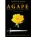 AGAPE-Part-B