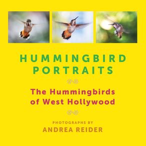 Hummingbird-Portraits