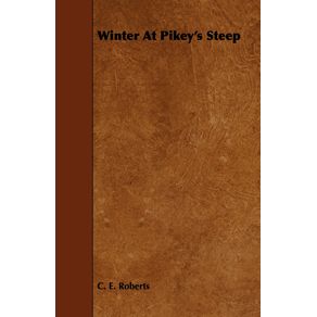 Winter-at-Pikeys-Steep