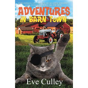 Adventures-in-Barn-Town