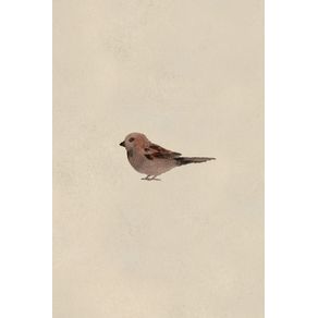 Sparrow---A-Poetose-Notebook---Journal---Diary--100-pages-50-sheets-