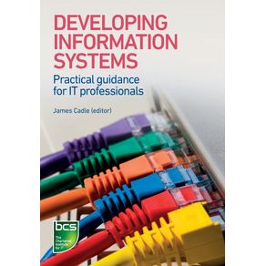 Developing-Information-Systems