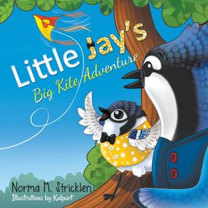 Little-Jays-Big-Kite-Adventure