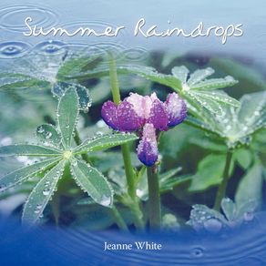 Summer-Raindrops